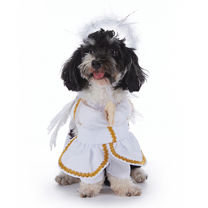 HallowPaw Costume Studio