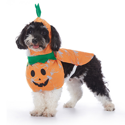 HallowPaw Costume Studio