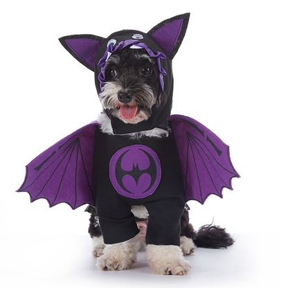 HallowPaw Costume Studio