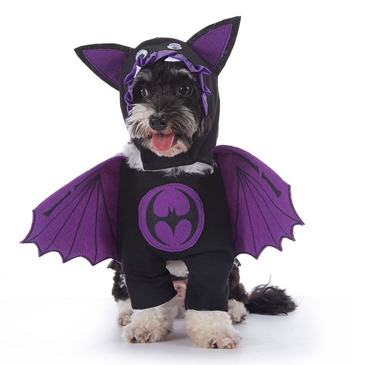 HallowPaw Costume Studio