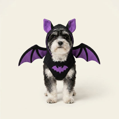 HallowPaw Atelier