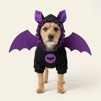 HallowPaw Atelier